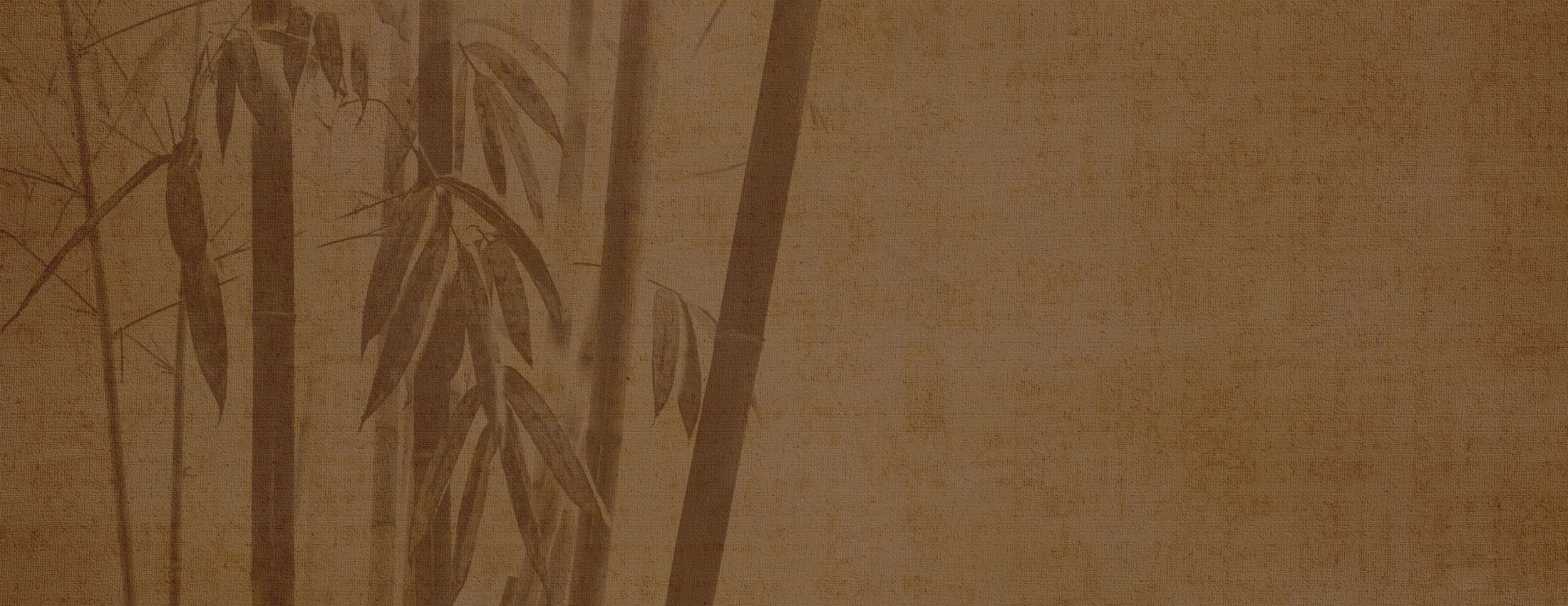 slider img