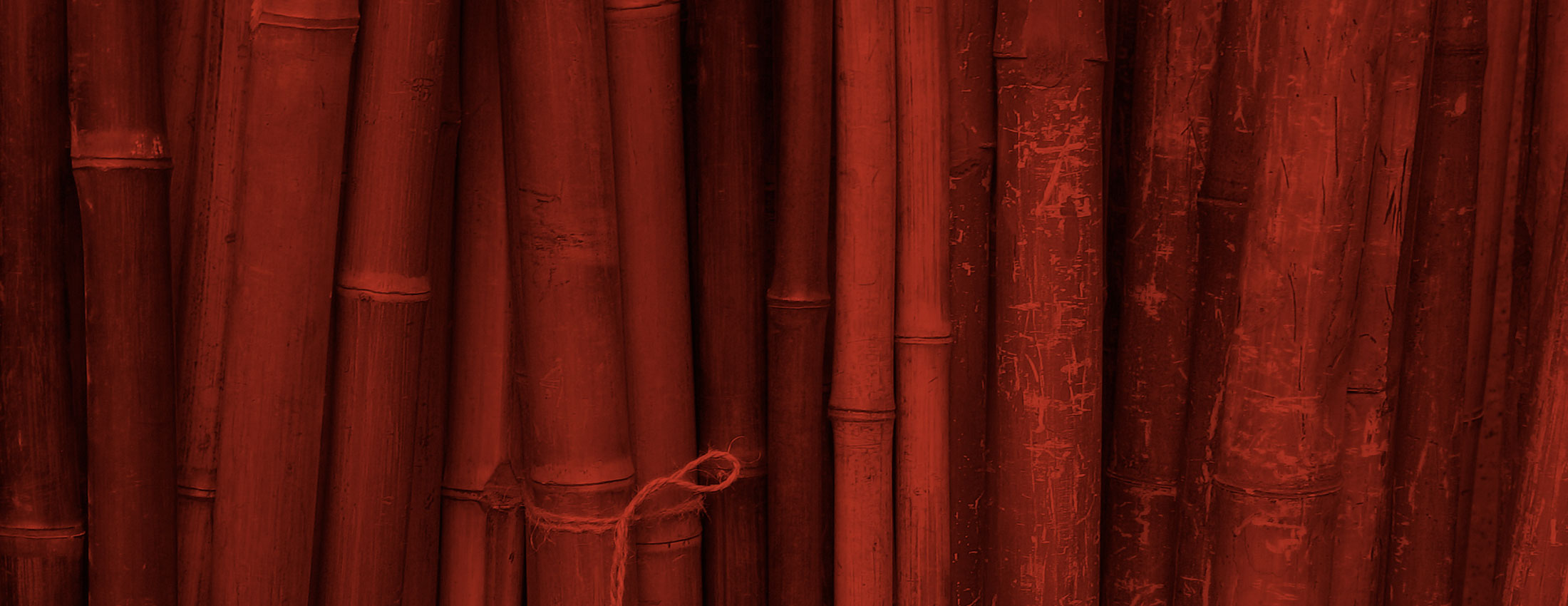 slider img